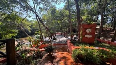 Foto 13 de 14: Area Rural em leilão em Rio Verde De Mato Grosso - MS — 02 IMÓVEIS RURAIS COM BENFEITORIAS, A.T. 8.000HA EM RIO VERDE DE MATO GROSSO-MS