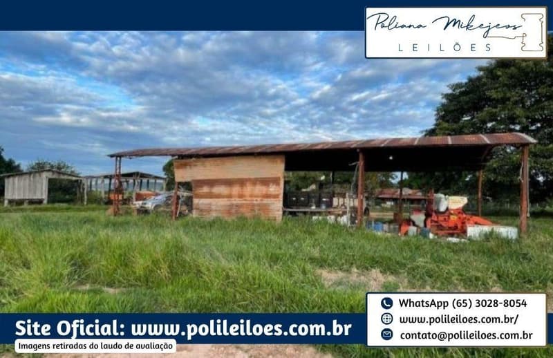 Foto 6 de 9: Area Rural em leilão em Rio Verde De Mato Grosso - MS — Gleba de terras, 146ha, 8.635m², remembramento dos lotes "Abora, "Abobora" e "São Domingos", em Rio Verde/MS