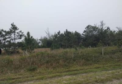 Terreno em leilão em Balneário Gaivota - SC — Terreno 300m², Centro, Balneário Gaivota/SC