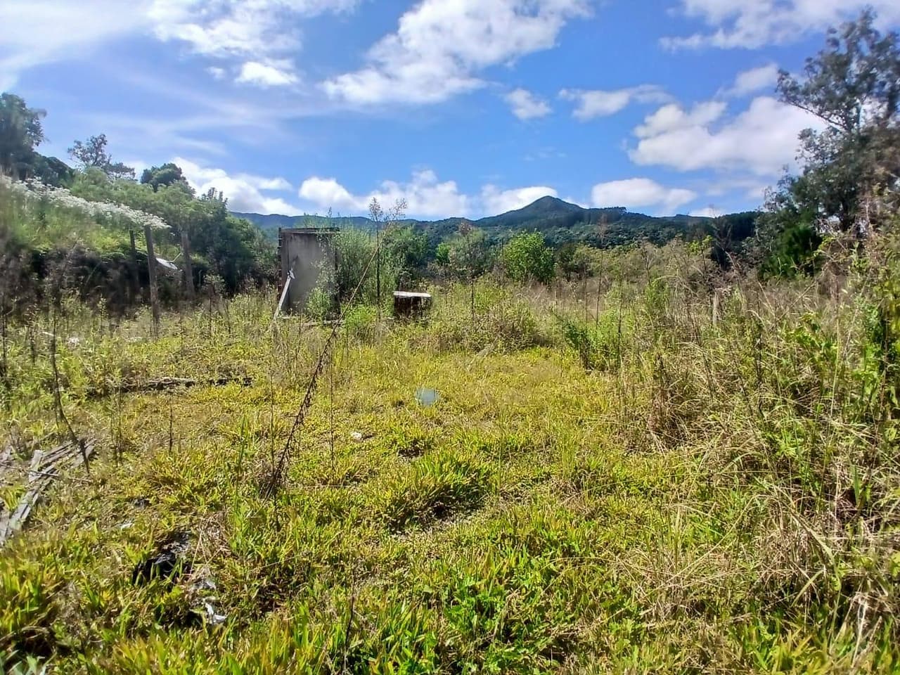Foto 17 de 18: Area Rural em leilão em Anitápolis - SC — IMÓVEL RURAL COM ÁREA TOTAL DE 30.704,71m². EM ANITÁPOLIS-SC