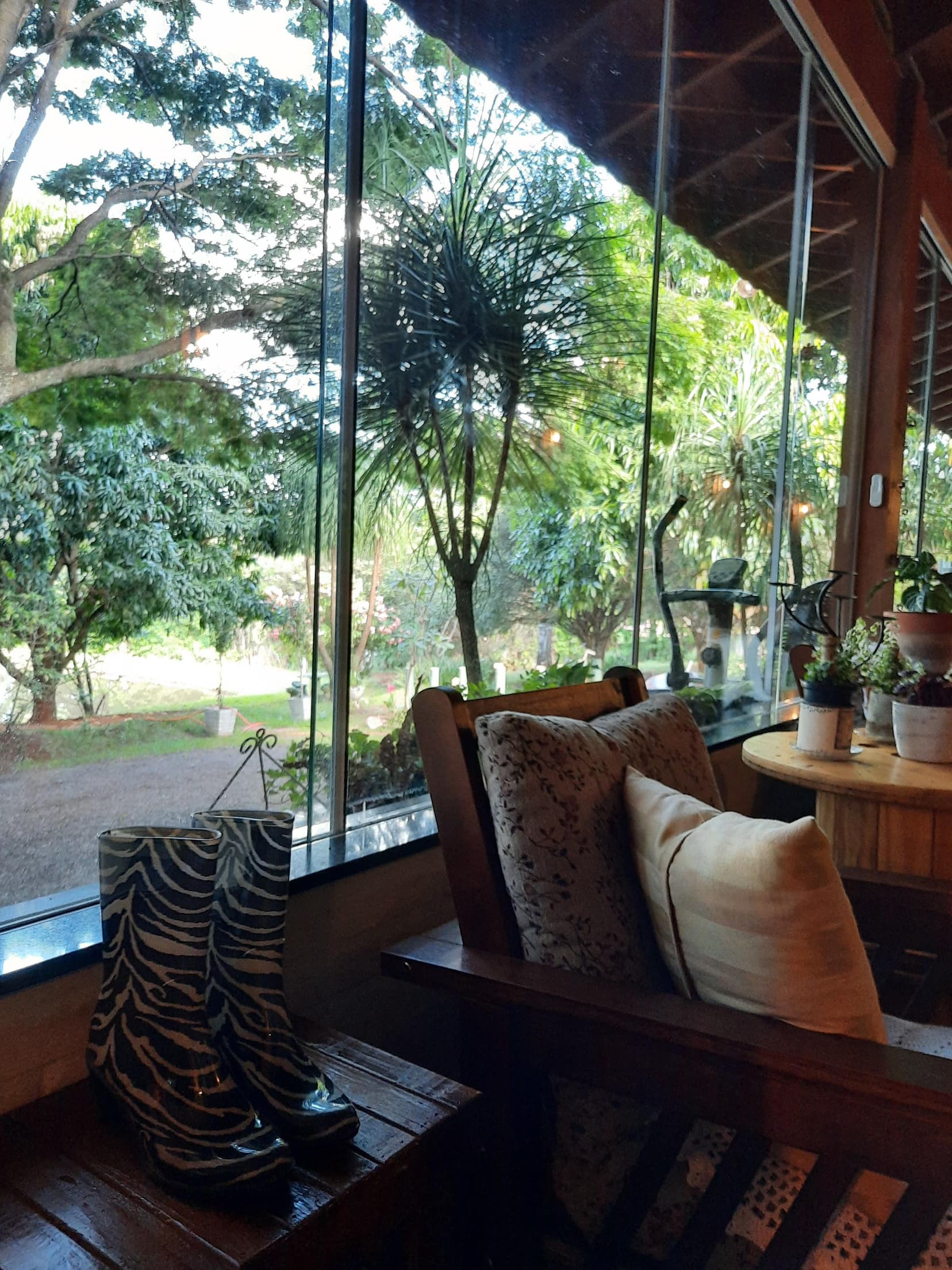 Foto 102 de 169: Area Rural em leilão em Cravinhos - SP — Gleba, 2ha, Sítio São Sebastião, Cravinhos/SP
