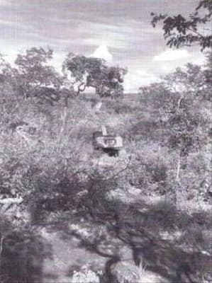 Foto 4 de 6: Area Rural em leilão em Jaciara - MT — IMÓVEL RURAL | A.T. 02 HA | JACIARA/MT
