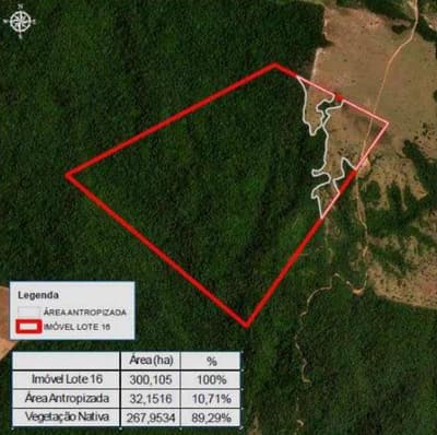 Foto 2 de 7: Area Rural em leilão em Pontes E Lacerda - MT — Imóvel Rural, 290,400 hectares