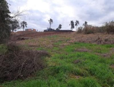 Foto 3 de 5: Terreno em leilão em Trindade Do Sul - RS — TERRENO URBANO COM AREA DE 3.735,66 M2 - TRINDADE DO SUL/RS