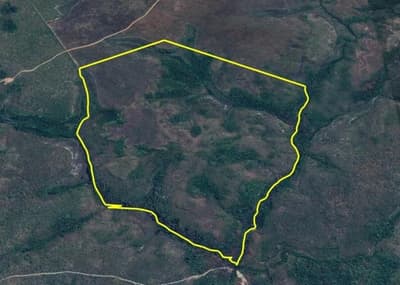 Foto 3 de 8: Area Rural em leilão em Rio Sono - TO — FAZENDA SANTA RITA DE CÁSSIA