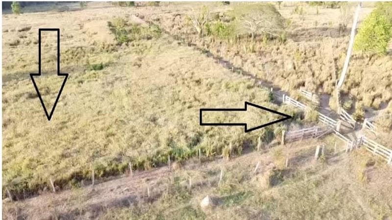 Foto 1 de 6: Area Rural em leilão em Cotriguaçu - MT — IMÓVEL RURAL | 9,32 HA | PECUÁRIA | CHÁCARA LOURENÇO EM COTRIGUAÇU/MT - LEILÃO EMPRESARIAL SISTÊMICO SICREDI