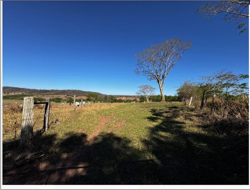 Area Rural em leilão em Oriente - SP — Área de 15 alqueires paulistas em Oriente/SP | Parte Ideal 50%