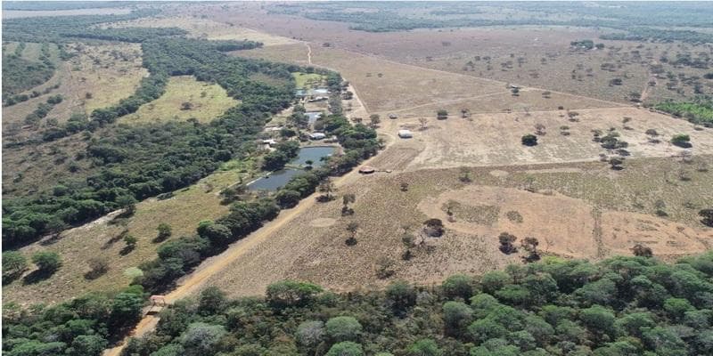 Foto 3 de 11: Area Rural em leilão em Poxoréu - MT — IMÓVEL RURAL | 54,00 HA PECUÁRIA | ESTÂNCIA 2 IRMÃOS, POXORÉU/MT
