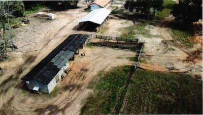 Foto 4 de 13: Area Rural em leilão em Coxim - MS, bairro Rio Verde de Mato Grosso — IMÓVEL RURAL | A.T. 62 HA - Fazenda Caracol | RIO VERDE DE MATO GROSSO/MS.