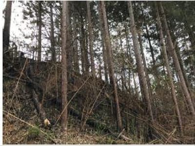 Foto 2 de 6: Terreno em leilão em Taió - SC — TERRENO RURAL com área total de 183,33 m²