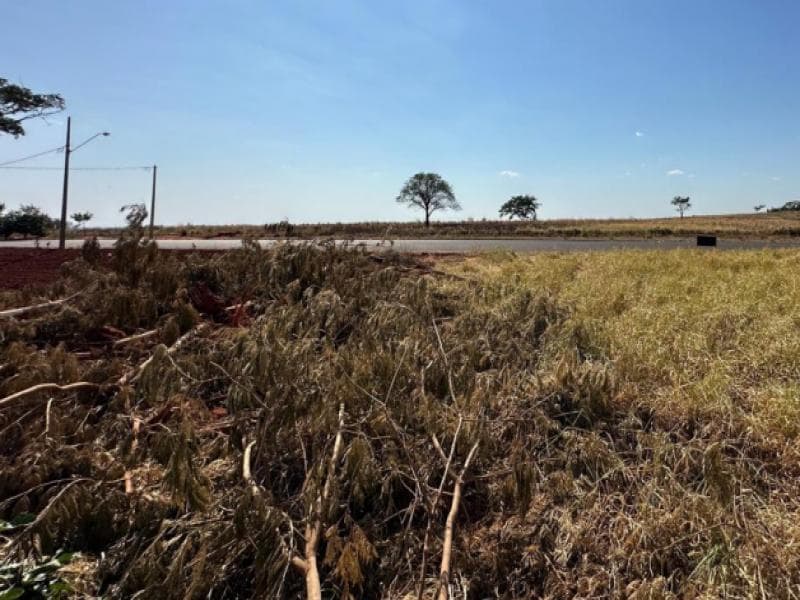 Foto 1 de 4: Terreno em leilão em Piacatu - SP, bairro Centro — Lote, 150.0 m2, Piacatu / SP