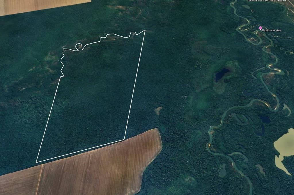 Foto 1 de 4: Area Rural em leilão em Gaúcha Do Norte - MT — Fazenda Rancho Alegre 501ha | Gaúcha do Norte-MT |Próxima ao Ribeirão Kevualeli