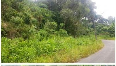 Terreno em leilão em Curitiba - PR, bairro Cascatinha — Terreno com área de 14.392,28m², sem benfeiotorias, Avenida Manoel Ribas, 4.428, esquina com Ruas Zilia Quadri Merhy e Ernesto Durigan., Cascatinha, Curitiba/PR.