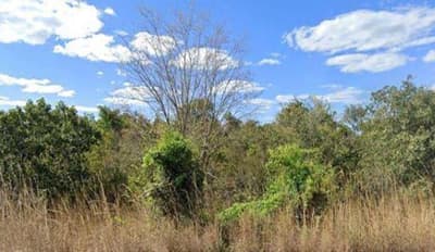 Foto 9 de 10: Area Rural em leilão em Santa Maria Da Vitória - BA — IMÓVEL RURAL COM ARE DE 922,9189 HECTARES, SANTA MARIA DA VITÓRIA/BAHIA