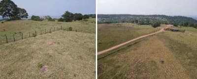 Foto 7 de 7: Area Rural em leilão em Pontes E Lacerda - MT — Imóvel Rural, 290,400 hectares
