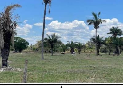 Foto 3 de 16: Area Rural em leilão em Barão De Melgaço - MT — Imóvel rural denominado Fazenda Baia São Benedito (antiga Baia das Pombas- com área de 13.000,00 hectares.