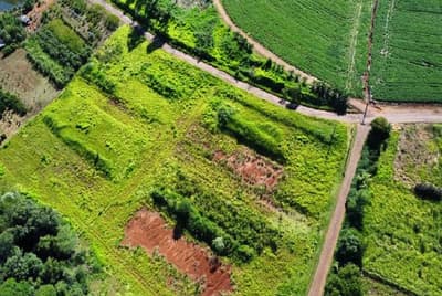 Foto 4 de 4: Terreno em leilão em Santo Antônio Do Sudoeste - PR — Lote Urbano 252m² Desocupado em Santo Antonio do Sudoeste/PR