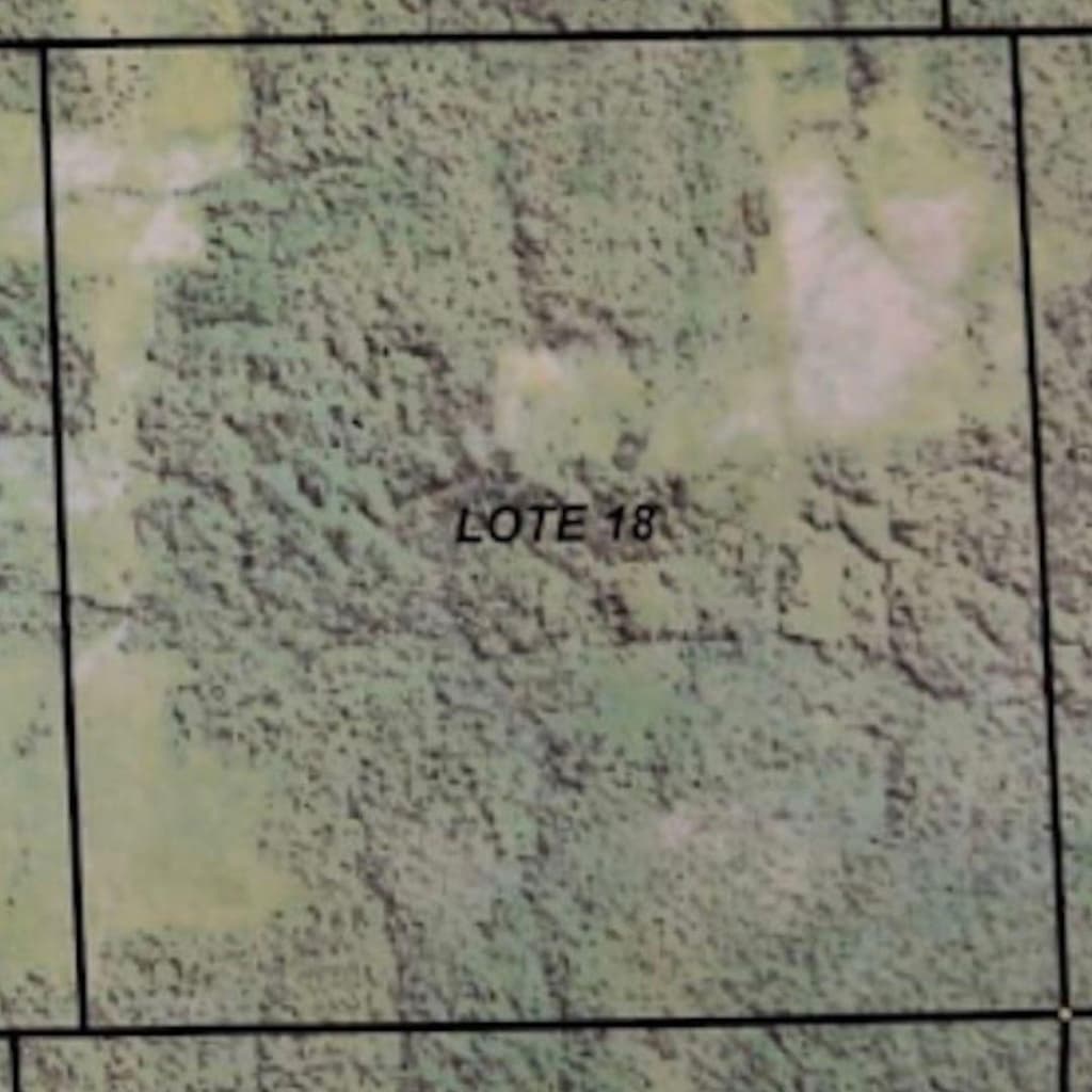 Foto 1 de 2: Area Rural em leilão em Colniza - MT — Imóvel Rural com 3.079,7272 ha localizado em Colniza/MT - (LOTE 18)