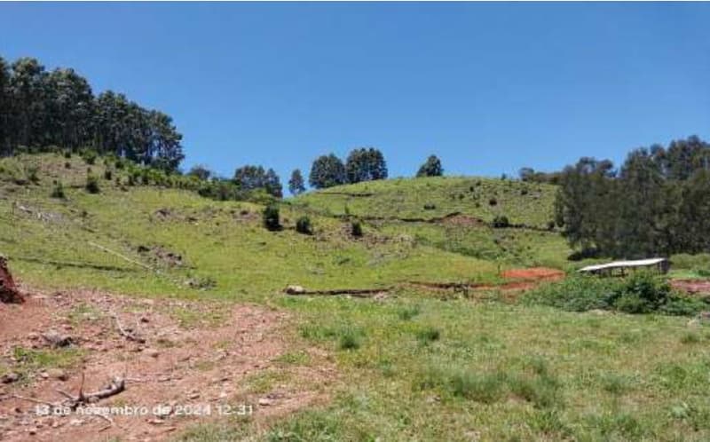 Foto 10 de 16: Area Rural em leilão em Pinhão - PR — Imóvel rural, 242.766,02 m², denominado Torres, Município e Comarca de Pinhão-PR