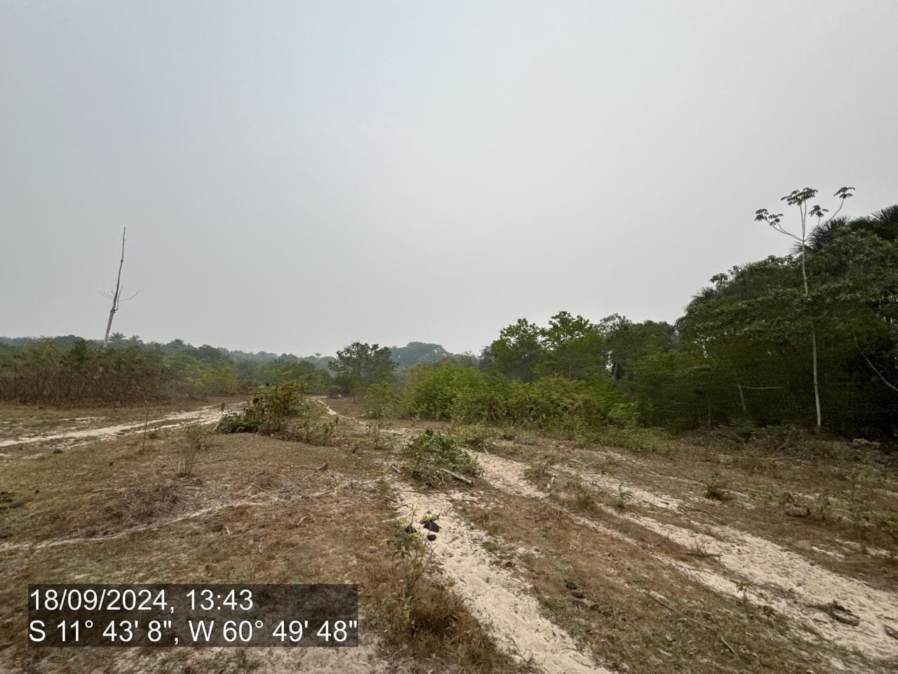 Foto 13 de 20: Area Rural em leilão em Pimenta Bueno - RO — IMÓVEL RURAL | A. T. 63,4635 HA | PIMENTA BUENO/RO - LEILÃO EMPRESARIAL SISTÊMICO SICREDI