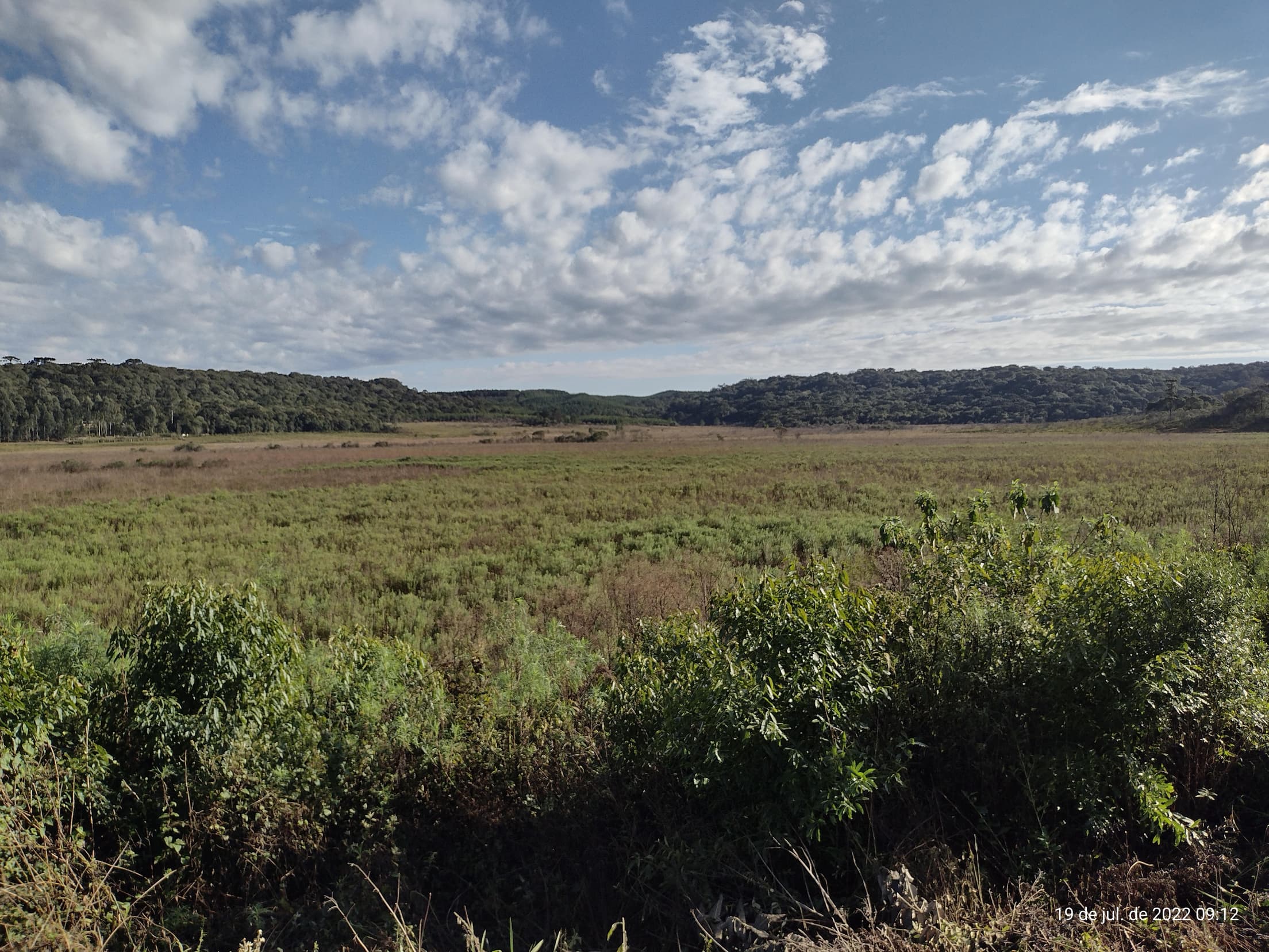 Foto 15 de 50: Terreno em leilão em Irati - PR — Terreno rural com área de 74.282,70m², Irati/PR