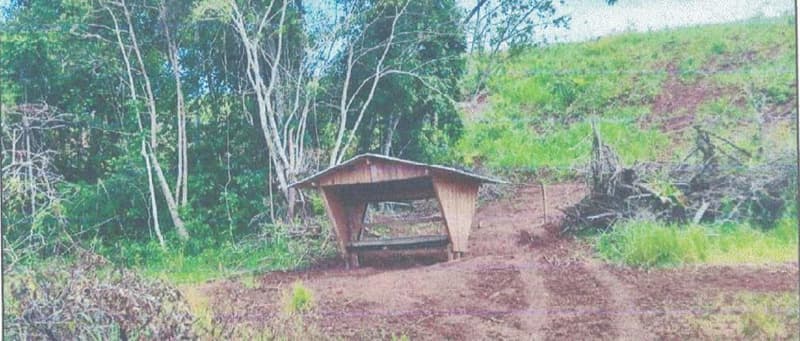 Foto 24 de 24: Area Rural em leilão em Alta Floresta D'oeste - RO — IMÓVEL RURAL | A.T 68,82 HA | ALTA FLORESTA DOESTE/RO