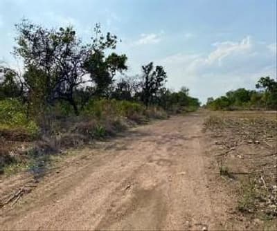 Foto 2 de 3: Area Rural em leilão em Loreto - MA — IMÓVEL RURAL, A.T.508,9640HA, FAZENDA SANTA MARIA EM LORETO-MA