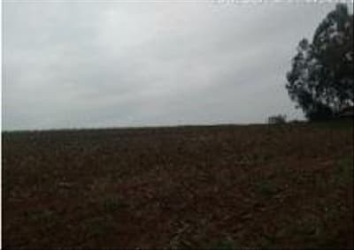 Foto 10 de 10: Area Rural em leilão em Bom Sucesso - PR — IMÓVEL RURAL COM ÁREA DE 7, 3702 Ha EM ZONA RURAL DE BOM SUCESSO-PR