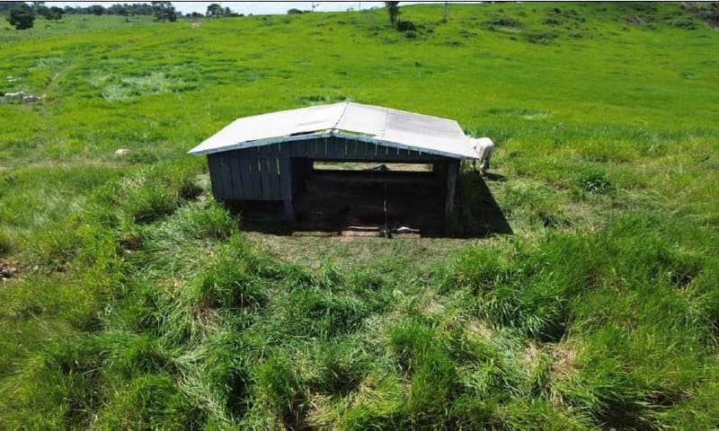 Foto 7 de 8: Area Rural em leilão em Ariquemes - RO — IMÓVEL RURAL, 48,1028ha - POSSUI 2 COCHEIRAS E 5 KM DE CERCA - POTENCIAL DE PECUÁRIA DE CORTE OU AGRICULTURA EM ALTO PARAÍSO/RO