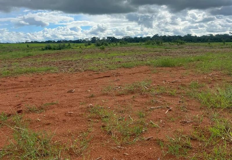Foto 4 de 7: Area Rural em leilão em Cacoal - RO — IMÓVEL RURAL | 48,4754 HA GLEBA SETOR PROSPERIDADE | CACOAL/RO
