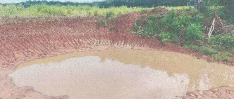 Foto 15 de 24: Area Rural em leilão em Alta Floresta D'oeste - RO — IMÓVEL RURAL | A.T 68,82 HA | ALTA FLORESTA DOESTE/RO