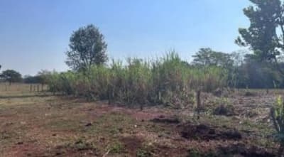 Foto 15 de 19: Area Rural em leilão em Sidrolândia - MS — IMÓVEL RURAL COM ÁREA TOTAL DE 6,98480 hectares EM SIDROLÂNDIA-MS