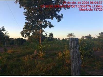Foto 7 de 7: Area Rural em leilão em Nova Brasilândia - MT — IMÓVEL RURAL | A.T. 6,62 HA SÍTIO 2 CORAÇÕES | NOVA BRASILÂNDIA/MT