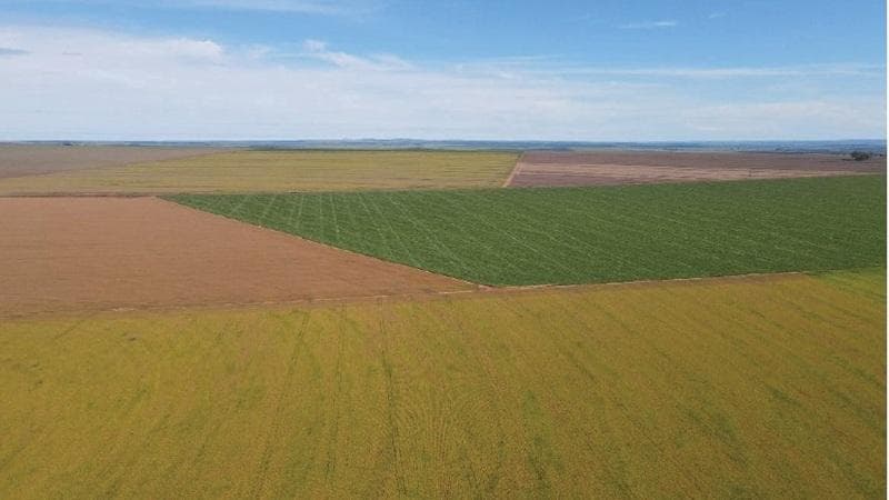 Foto 25 de 30: Area Rural em leilão em Paraíso Das Águas - MS — IMÓVEL RURAL | 400 HA (FRAÇÃO IDEAL) - FAZ. LOTE BAÚS PERDIDO I SECÇÃO B | PLANTIO PARA SOJA E MILHO | PARAÍSO DAS ÁGUAS/MS