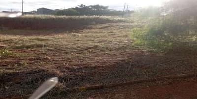 Terreno em leilão em Terra Roxa - PR, bairro Residencial Elisa — IMÓVEL URBANO COM ÁREA TOTAL DE 250,00 M2, LOTE 22, QUADRA 13- RESIDENCIAL ELISA-TERRA ROXA-PR