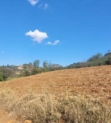 Foto 7 de 8: Area Rural em leilão em Anchieta - SC — Lote Rural 72.600m² Desocupado em Anchieta/SC