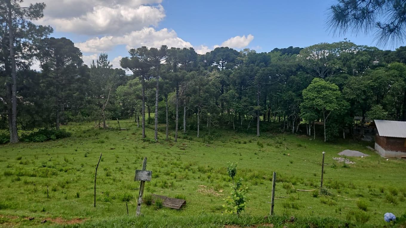 Foto 3 de 18: Comercial em leilão em Nova Petrópolis - RS — COMPLEXO INDUSTRIAL EM NOVA PETRÓPOLIS RS