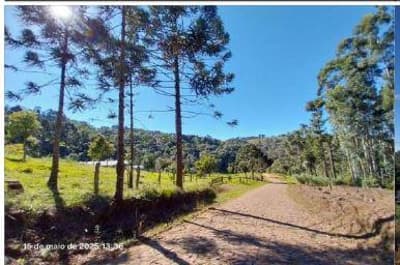 Foto 12 de 14: Area Rural em leilão em Pinhão - PR — Parte ideal de 484,72 hectares,, correspondente a 85,039% da Área rural Medindo 5.700.000,00m2, Localizada no quinhão 1-J, no imóvel Pinhão-Faxinal dos Ribeiros, situado no município e comarca de Pinhão/PR