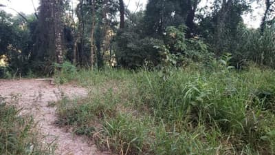 Foto 3 de 5: Terreno em leilão em Campo Limpo Paulista - SP — Terreno em Campo Limpo Paulista, Lote nº 06 da Quadra 04, área de 734,25m², Lot. Jardim Paulista I