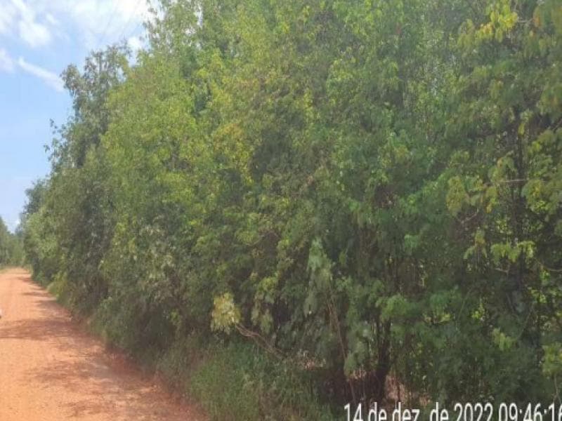 Foto 4 de 4: Terreno em leilão em Cuiabá - MT, bairro Loteamento Tarumã — Lote, 13550.0 m2, Cuiabá / MT
