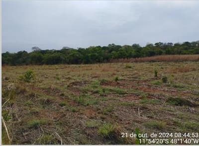 Foto 3 de 8: Area Rural em leilão em São Valério - TO — IMÓVEL RURAL | A.T. 1.210,00063 HA | FAZENDA LISBOA | SÃO VALÉRIO/TO