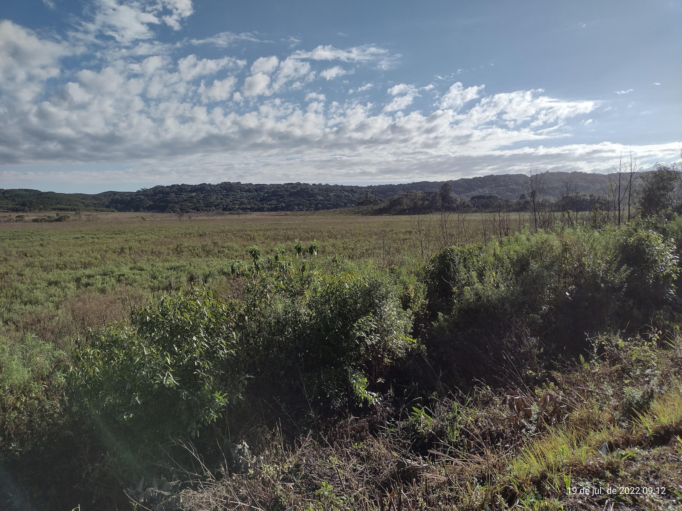 Foto 5 de 50: Terreno em leilão em Irati - PR — Terreno rural com área de 74.282,70m², Irati/PR