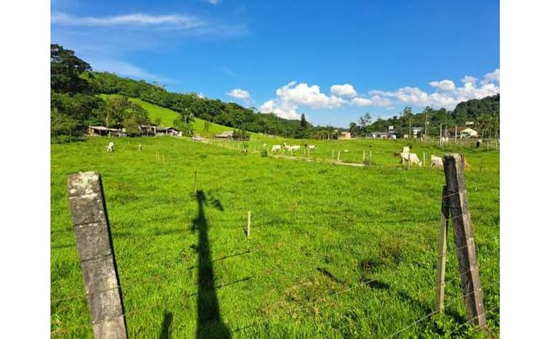Foto 34 de 64: Terreno em leilão em Blumenau - SC — Um imóvel com área total de 102.114,74m² em Blumenau/SC