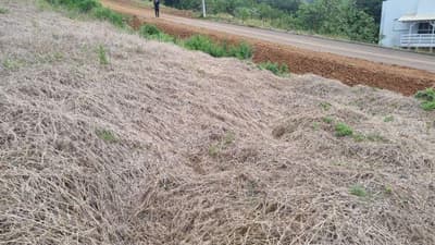 Foto 1 de 5: Terreno em leilão em Saudades - SC — LOTE URBANO Nº 04, DA QUADRA Nº 122, LOCALIZADO EM SAUDADES/SC ÁREA DE 360M²