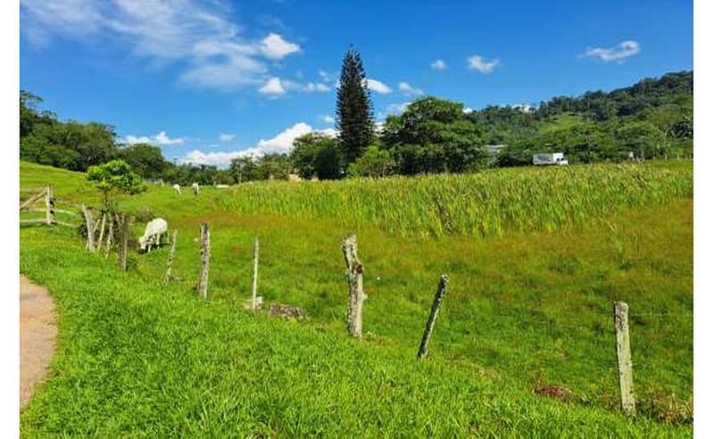 Foto 27 de 64: Terreno em leilão em Blumenau - SC — Um imóvel com área total de 102.114,74m² em Blumenau/SC