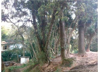 Foto 5 de 9: Terreno em leilão em Embu Das Artes - SP, bairro Chácaras Uirapuru — TERRENO LOTE 19 QUADRA 2 COM AREA 1.372,00m² - CHACARA UIRAPURU
