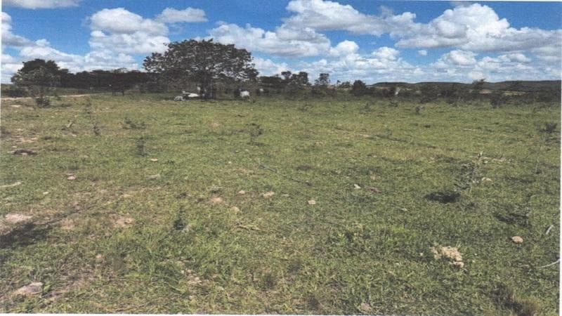 Foto 2 de 4: Area Rural em leilão em Campo Alegre De Goiás - GO — IMÓVEL RURAL | 474,8990 HA - FAZ. BONANZA | CAMPO ALEGRE DE GOIÁS/GO
