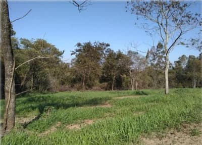 Foto 3 de 10: Area Rural em leilão em Nova Esperança - PR — IMÓVEL RURAL COM ÁREA TOTAL DE 30.548,00 m2 EM NOVA ESPERANÇA-PR