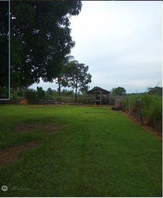 Foto 9 de 9: Area Rural em leilão em Nova Bandeirantes - MT — IMÓVEL RURAL Sítio L & B | A.T. 36,30 HA | NOVA BANDEIRANTES /MT