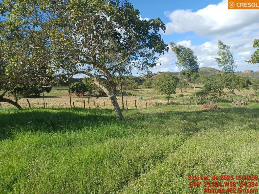 Foto 2 de 10: Area Rural em leilão em Cícero Dantas - BA — IMÓVEL RURAL Em CÍCERO DANTAS/BA